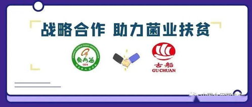 攜手古船米業，共筑貧困地區食用菌銷售與商品房代購代銷新篇章