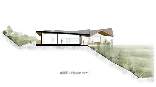 半山崖廢棄雞棚的暖心蛻變 小石村食品共享工廠與商品房代購(gòu)代銷(xiāo)的鄉(xiāng)村振興新實(shí)踐