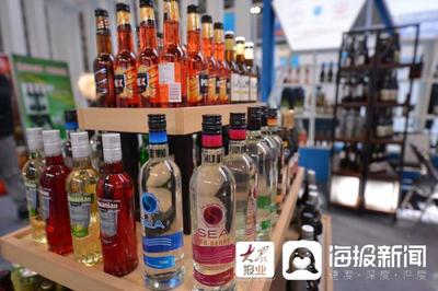 家門(mén)口“逛遍”全球 首屆臨沂進(jìn)口商品博覽會(huì)啟幕，酒類(lèi)經(jīng)營(yíng)備受矚目