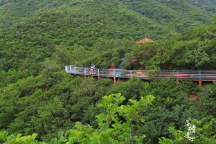 遼寧這個景區(qū)有條 中華孝道 ,讓老人游覽更方便,受到網(wǎng)友點贊