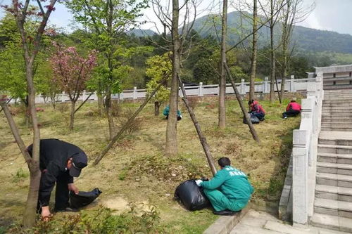 推行景區(qū)環(huán)境精細化管理標準成效初顯 武陵山大裂谷為自己打call